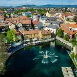 Malomfészek