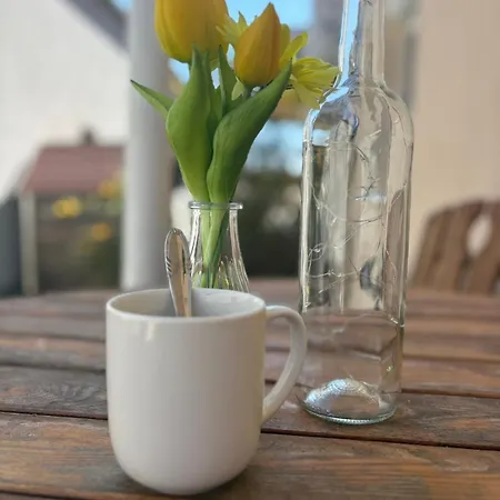 Malomfészek Appartement *