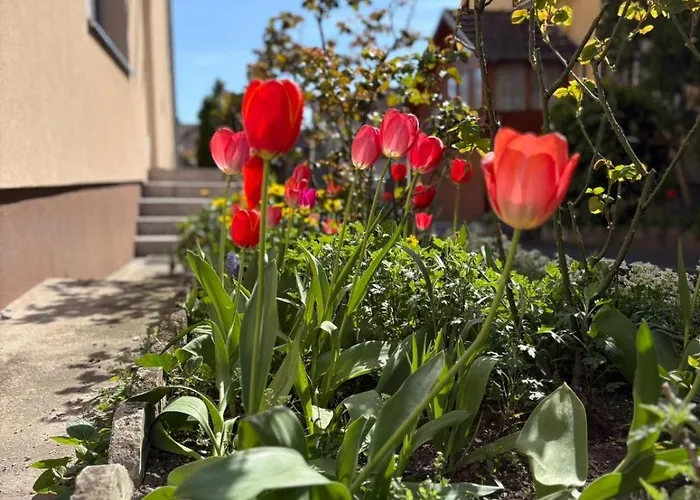 Malomfészek Apartamento *